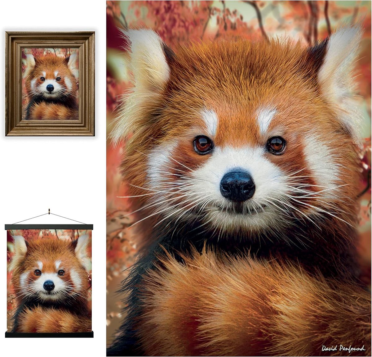 SnelShoppen - 3D LiveLife Lenticular Wanddecoratie - Baby Rode Panda - Ungeframed 3D Jungle Poster - 30x40cm - Kleurvol Kunstwerk voor Kinderen en Vol
