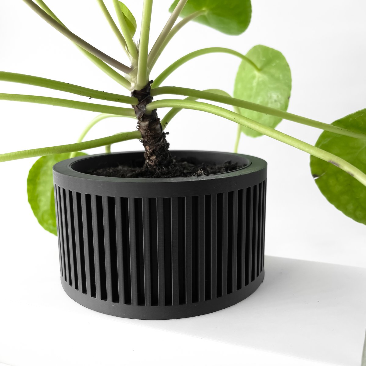 Skushy W14 Bloempot - Moderne Designpot voor Kamerplanten - Sculpturale Plantenpot voor Woonkamer en Kantoor - Premium Woondecoratie