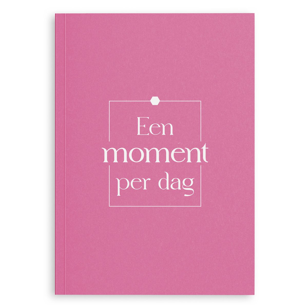 Fyllbooks Een moment per dag dagboek - Roze