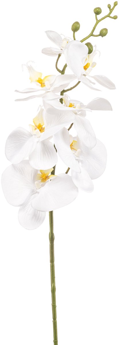 Emerald Kunstbloem Phalaenopsis wit 84cm - Kunstplant voor binnen