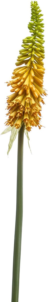 Emerald - Kunstbloem Kniphofia 85cm geel - Kunstplant voor binnen