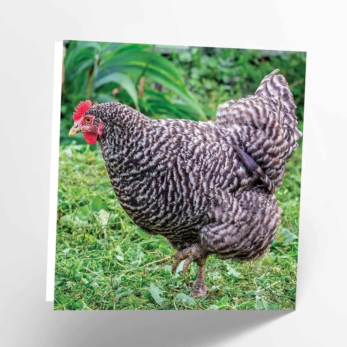 Lege Wenskaart - Kaart met Afbeelding - Alle Gelegenheden - Dikke Kaart - 17.7 x 17 cm - Multi