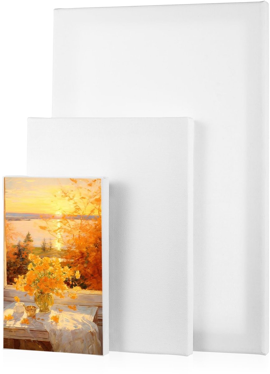 Canvas, set van 3 stuks, klein canvas om te beschilderen, 30 x 20 cm, 20 x 15 cm, 15 x 10 cm, spieraam, katoenen canvas om te beschilderen, witte canvas canvas voor acrylverf, olieverfschilderij