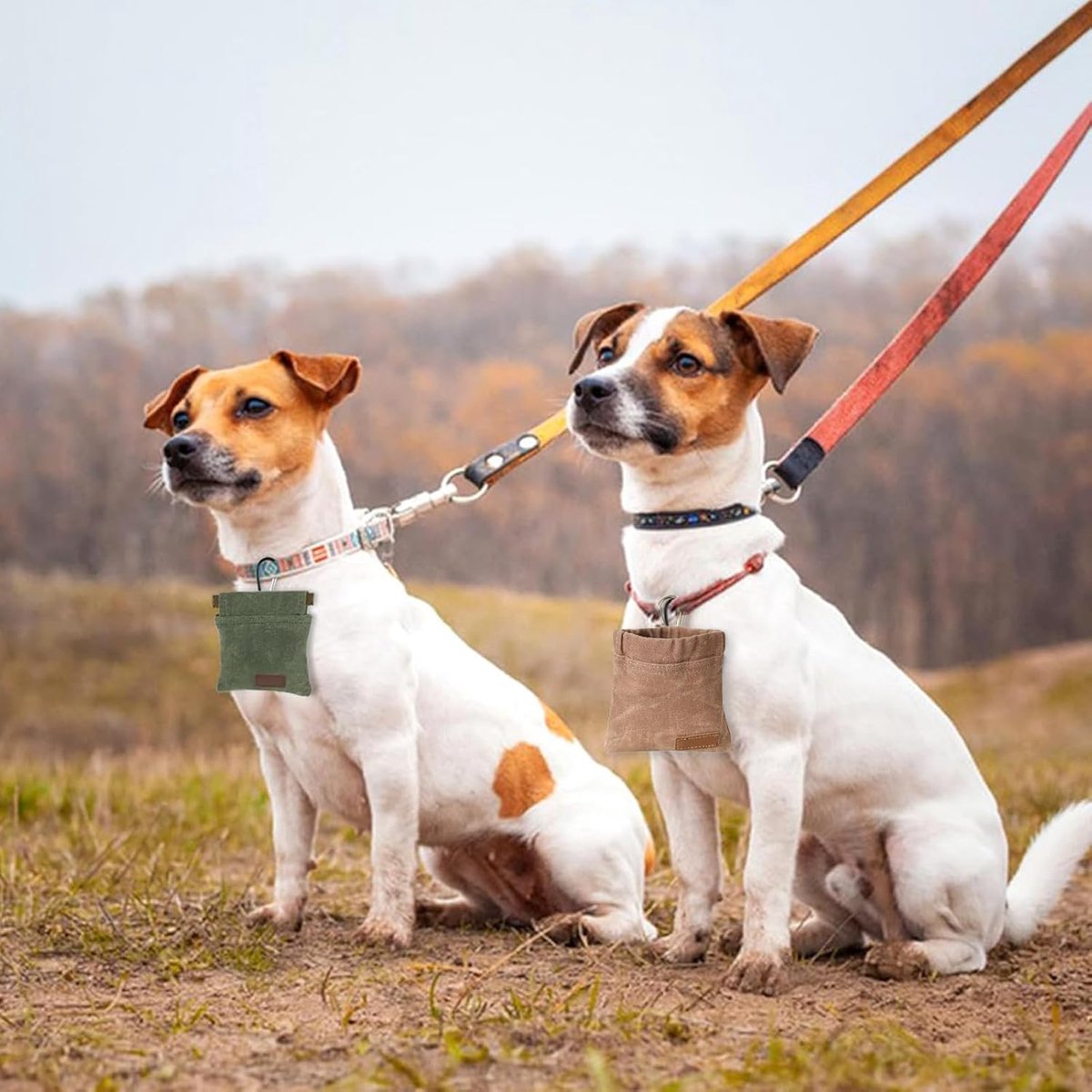 Honden Lekkernijentas - Voedertas Puppy - Hondentraining Belonen - Automatische Sluiting - 12 cm x 12 cm - Bruin