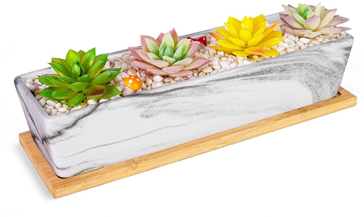 Solidchoice - Grote Succulent Pot met Afvoerschotel voor Binnengebruik