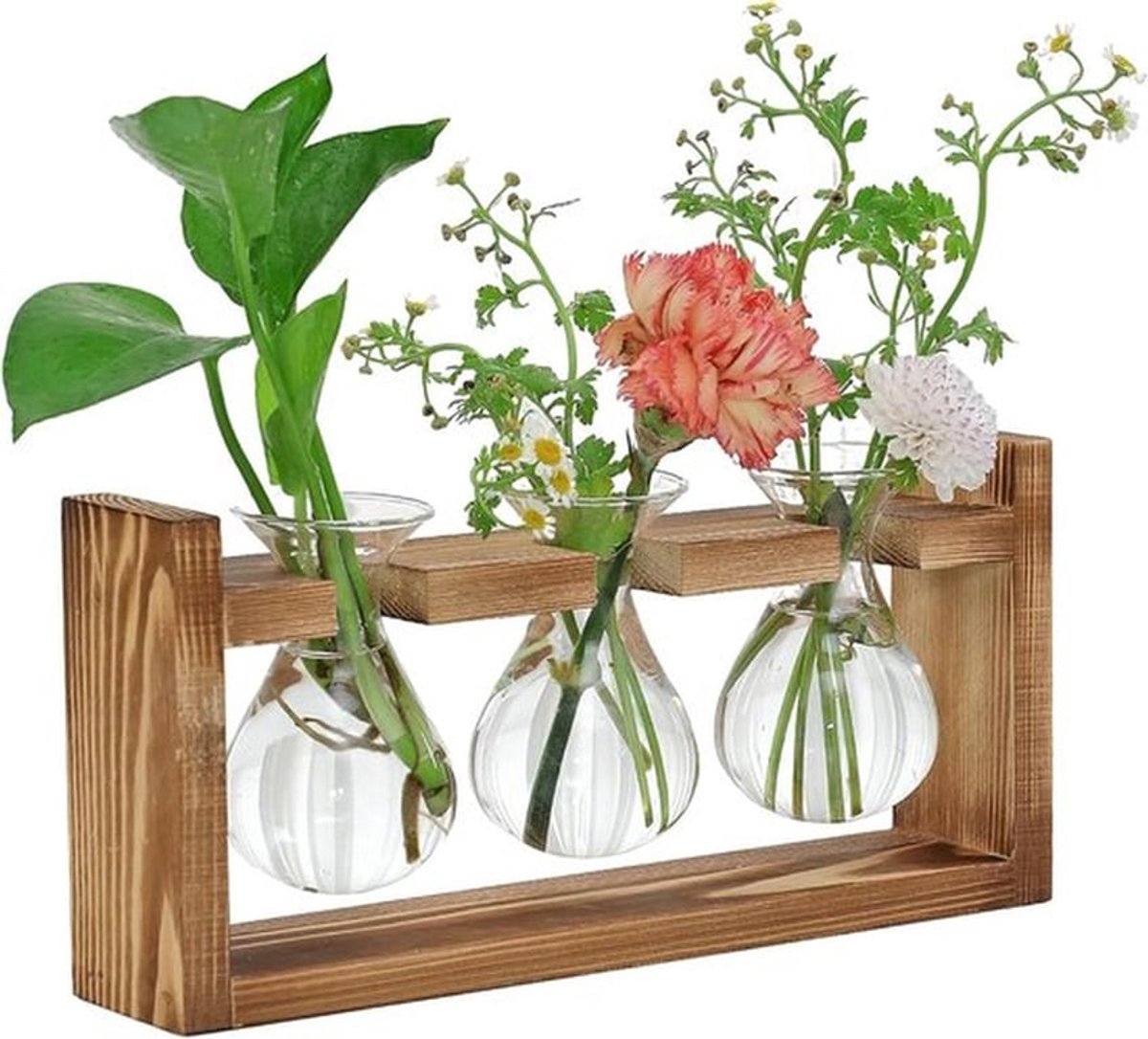 SnelShoppen - 4-delige decoratieve tafeldecoratie voor woonkamer en kantoor met houten standaard, 3 planten, terrarium, vervangbare waterververser, hy