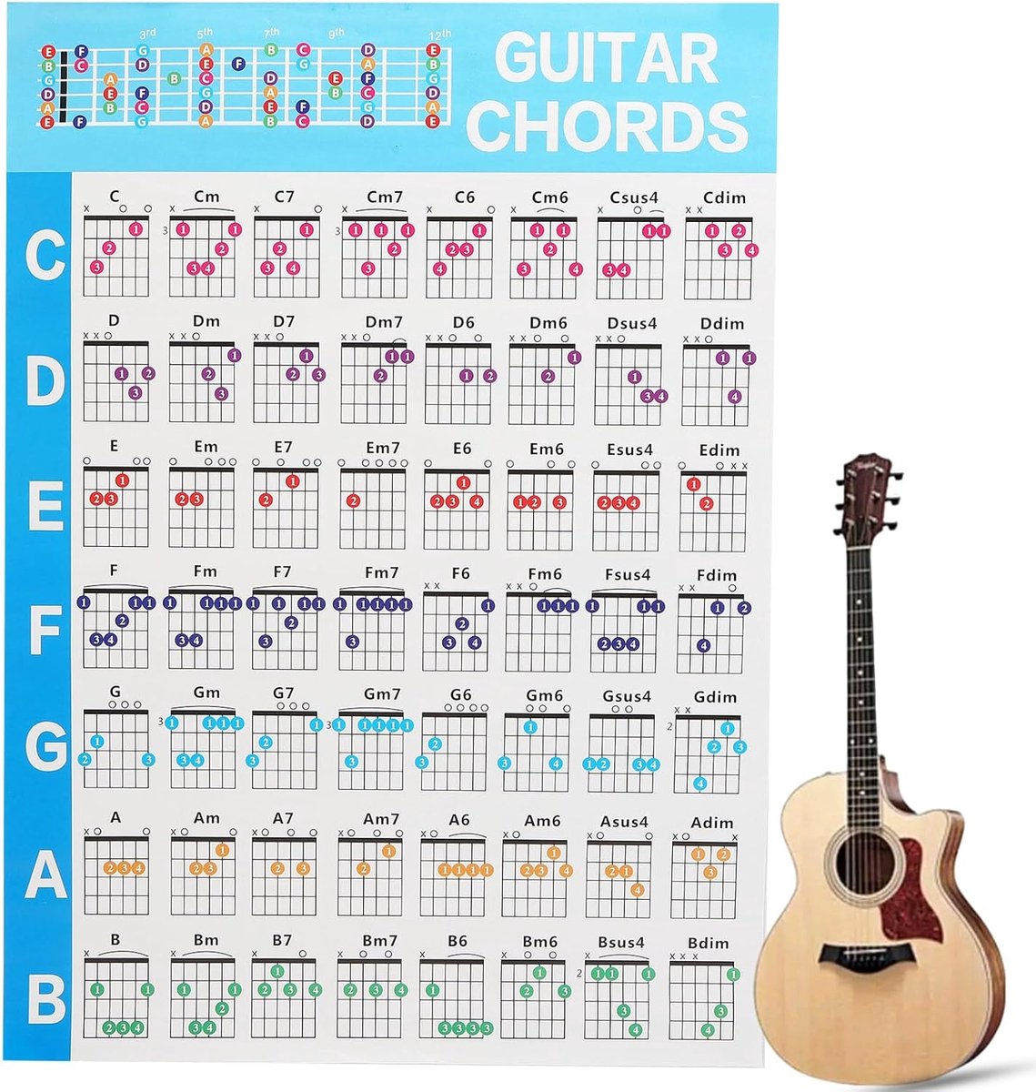 Gitaarakkoord poster - 56 kleurgecodeerde akkoorden - educatieve referentiegids - ideaal voor ukulele spelers - ShopVlot