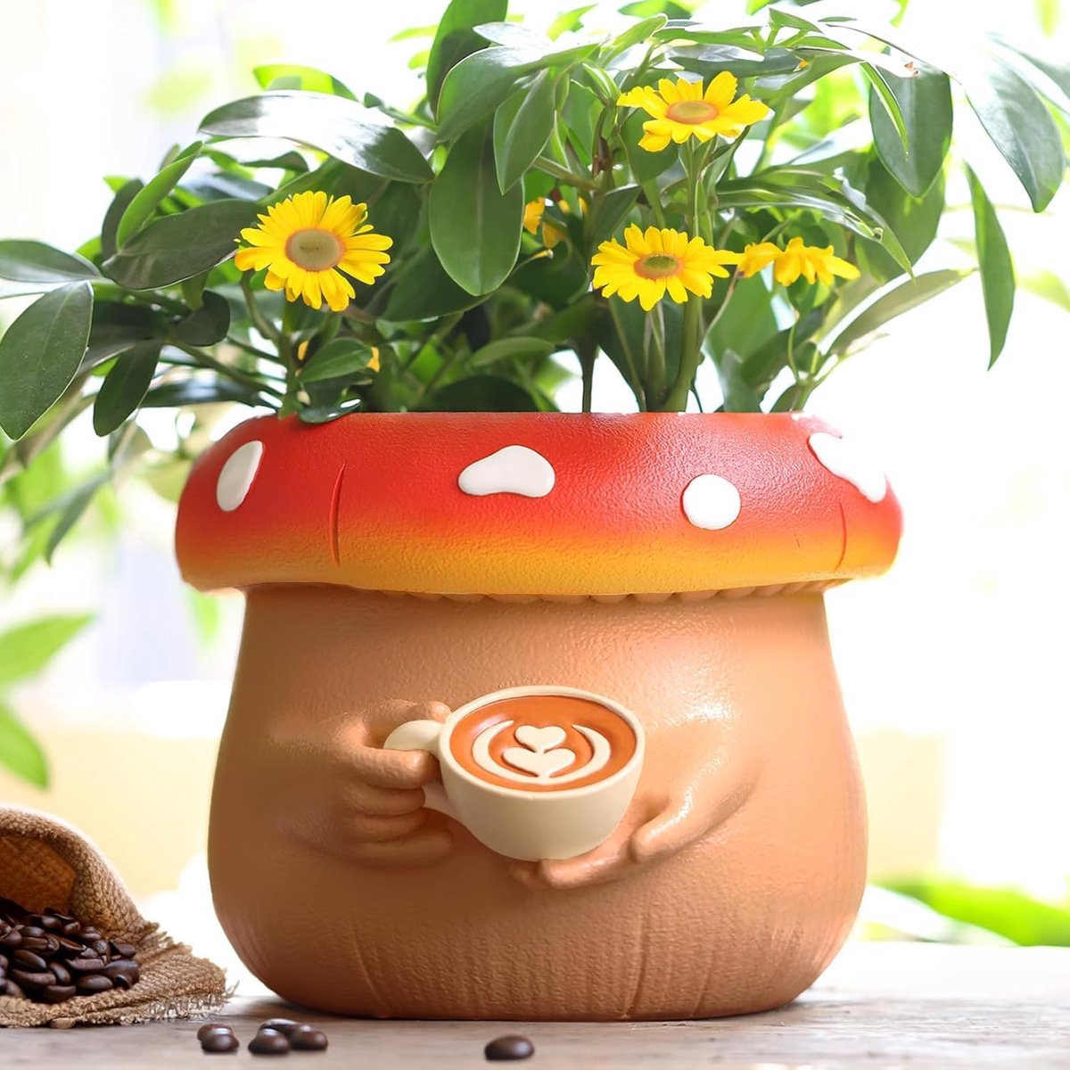Cute Coffee Cups, Mushroom Flower Pot Colourful Plant Pot for Indoor Plants, Unique Flower Pot with Drainage - ShopVlot