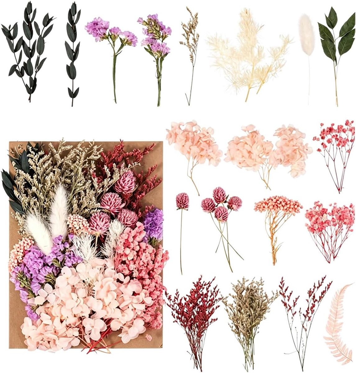 Drogenbloemen set - natuurlijke gedroogde bloemen - voor Epoxidharz sieraden - perfect voor decoratie en scrapbooking - ShopVlot