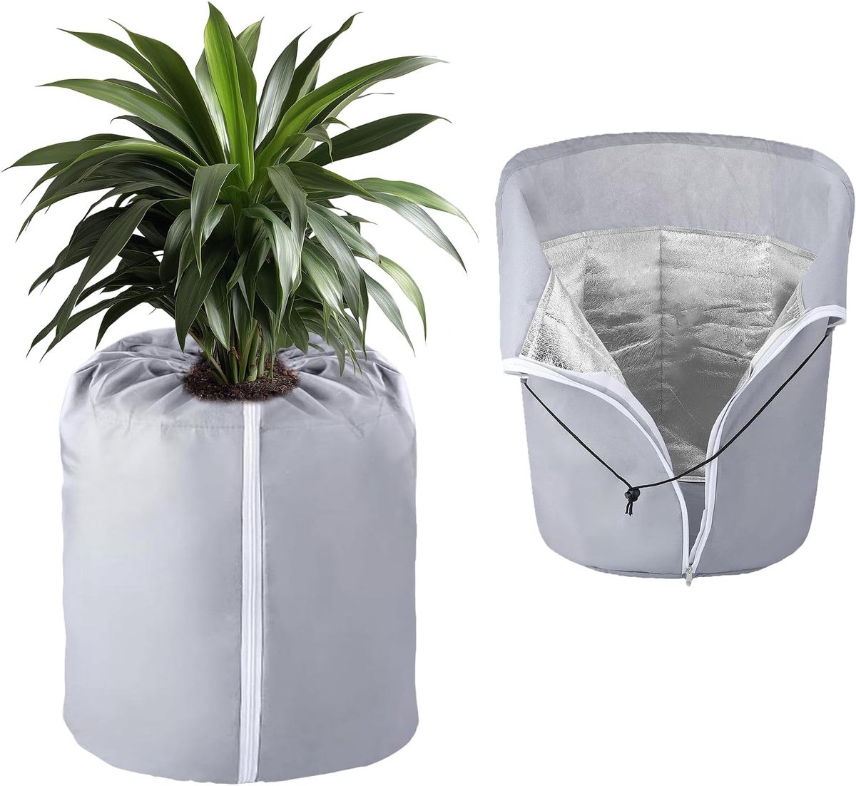 Leg protection 50 x 45 cm with felt coconut disc diameter 43 cm for plant protection in winter and winter protection - ShopVlot