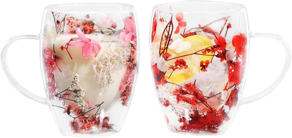 Dried Flowers Dubbelwandige Glazen voor Latte Macchiato en Espresso, 350 ml, Set van 2, Ideaal voor Thee en Iced Tea, Roze en Rood