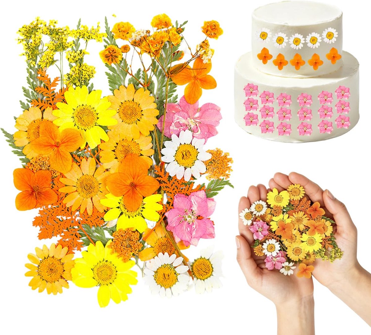 Gedroogde bloemen voor taartdecoratie - 30 stuks oranje - geperste bloemen - perfect voor cupcakes - ShopVlot