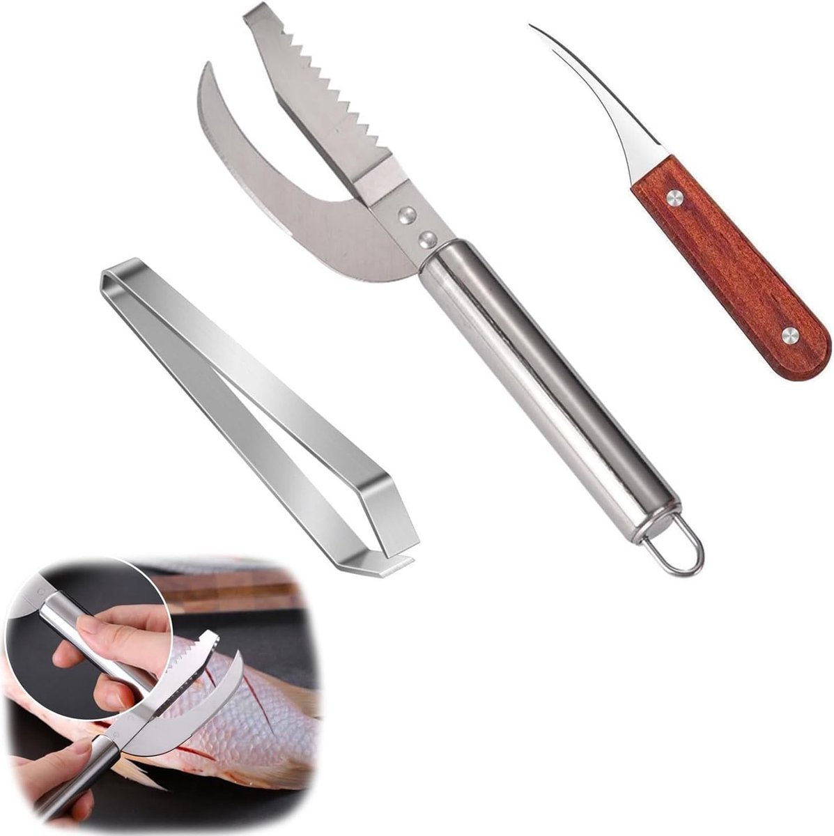 3pcs Fish Scale Remover, Fish Scale Remover, Fish Scale Scraper, Stainless Steel, Fish Scale Scraper with Herringbone - ShopVlot
