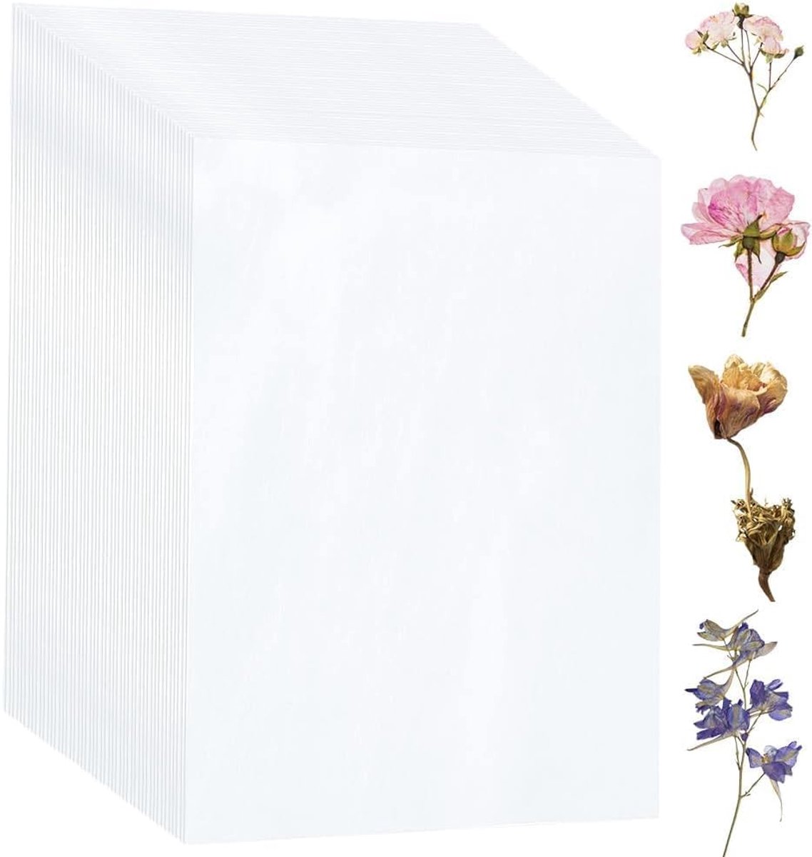 SnelShoppen - 60 Stuks Blottingpapier voor Bloemenpers - Perfect voor Droogbloemen, Creatieve Projecten, Tuinieren en Kunstambachten