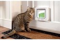 Gatronekat zit op een deurmat naast een wit kattenluik.