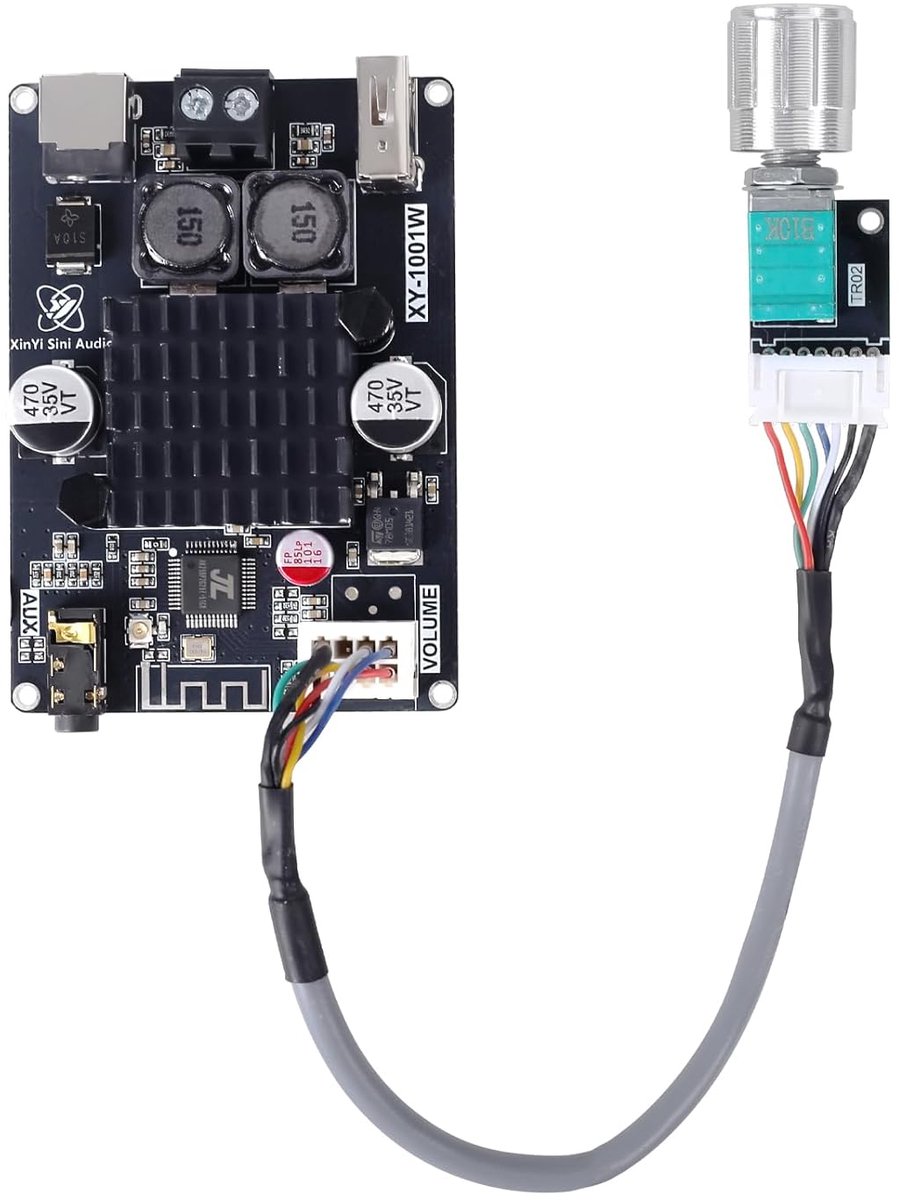 SnelShoppen - Bluetooth Versterker Module TWS 100W Mono Audio Amplifier Board met AUX USB voor DIY Speakers, Thuisbioscoop, Scholen, DC 9-24V