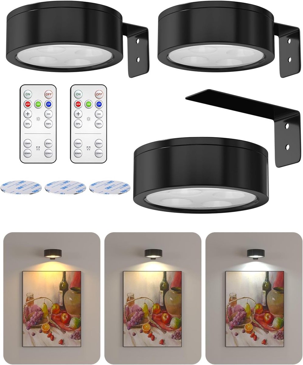 SnelShoppen - Dimbare Draadloze Schilderij Verlichting met Afstandsbediening, Magnetische LED Wandlamp met Timer, 3 Kleuren, Batterij Aangedreven voor