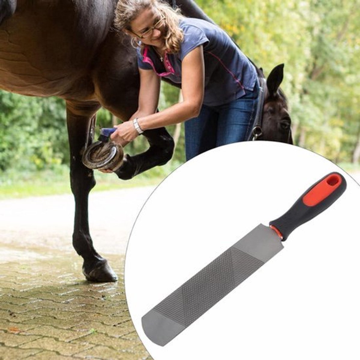 8 Inch Hoefrasp van Koolstofstaal met Ergonomisch Handvat voor Paardentraining