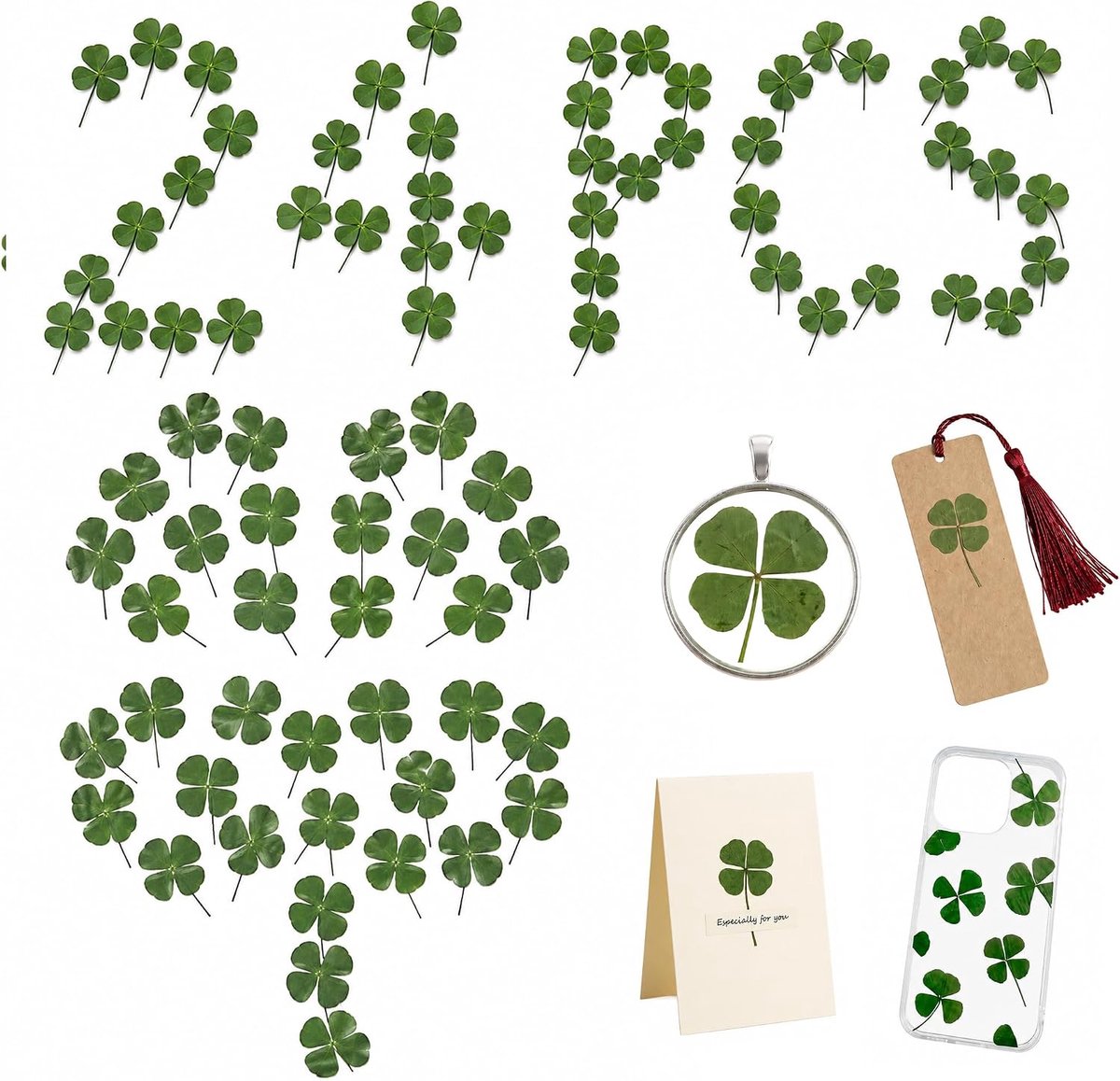 24 stuks gedroogd klaverblad geperst, natuurlijk klaverblad voor doe-het-zelf knutselen, kunsthars en sieraden maken, vacuüm verpakt, smaragdgroene gedroogde bloemen