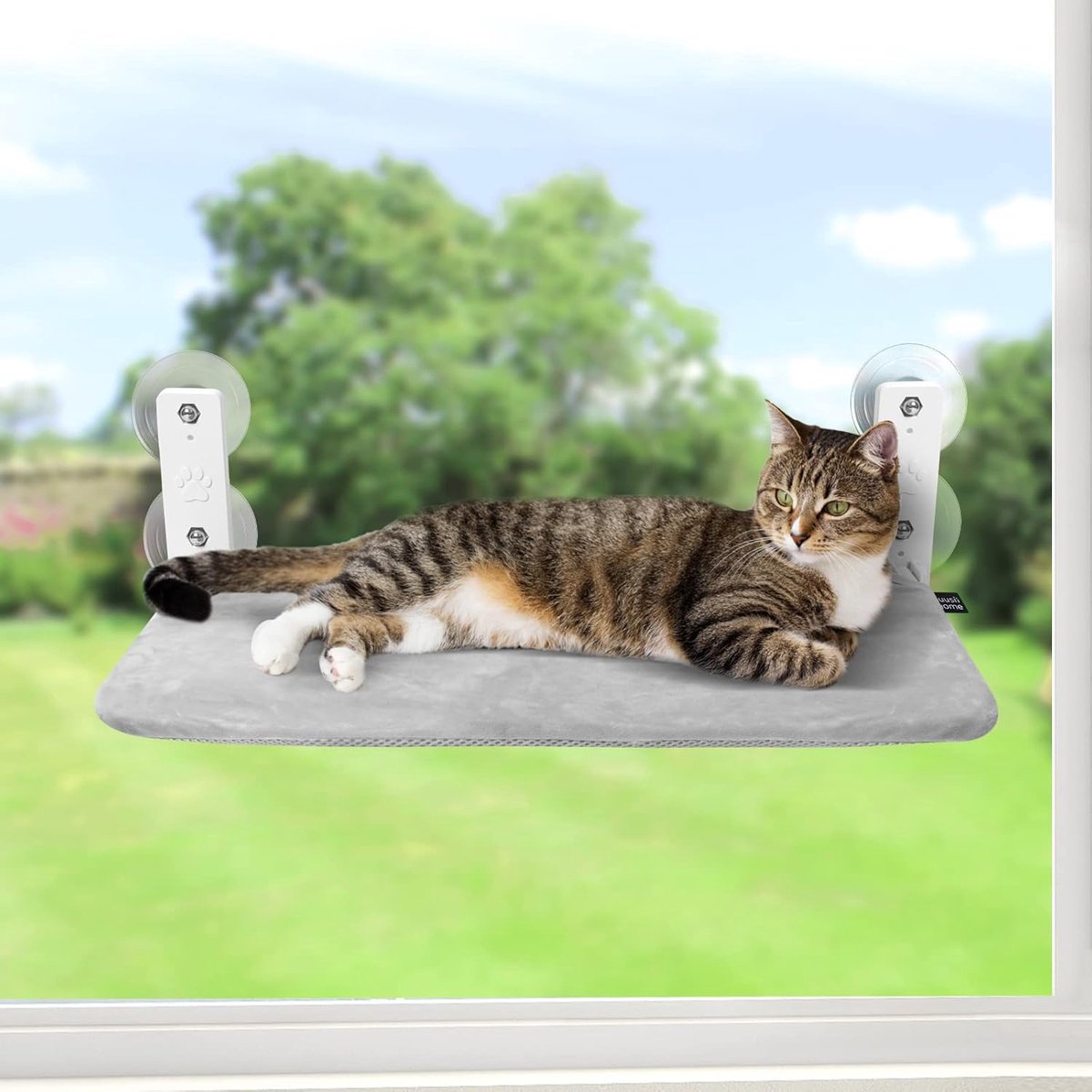 Raam Snoerloze zitstokken Vensterbank Zitbed Opvouwbaar Stabiel ligbed Verbeterde zuignap Eenvoudige montage Binnenkatten Kitty Plank Houdt tot 25 kg (grijs, L)