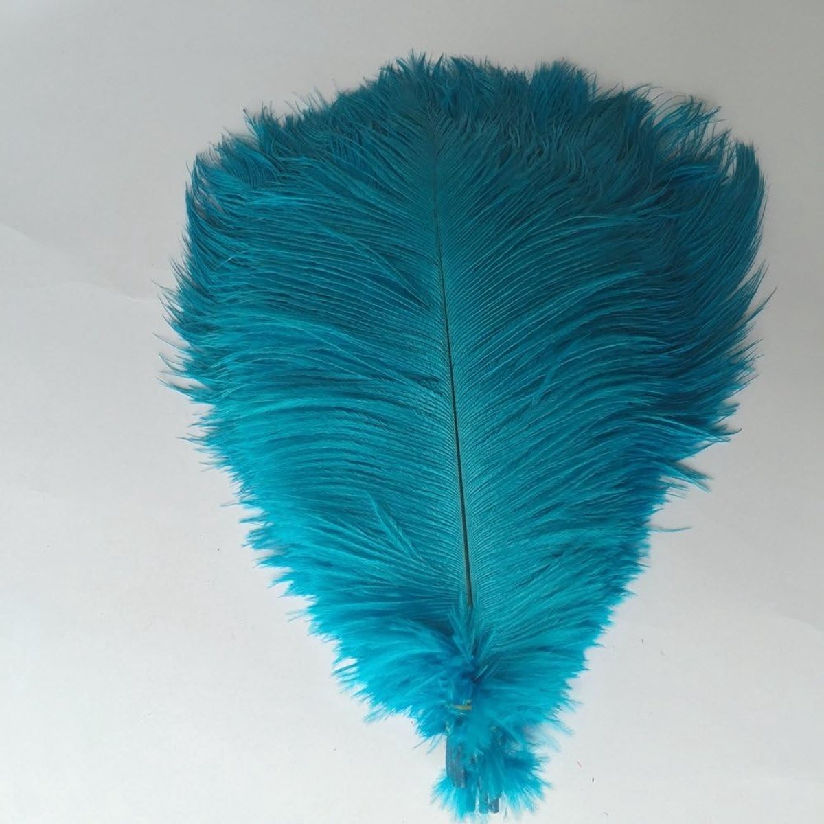 Veren 30-35 cm, 10 stuks, Turquoise, voor bruiloft centrumstukken