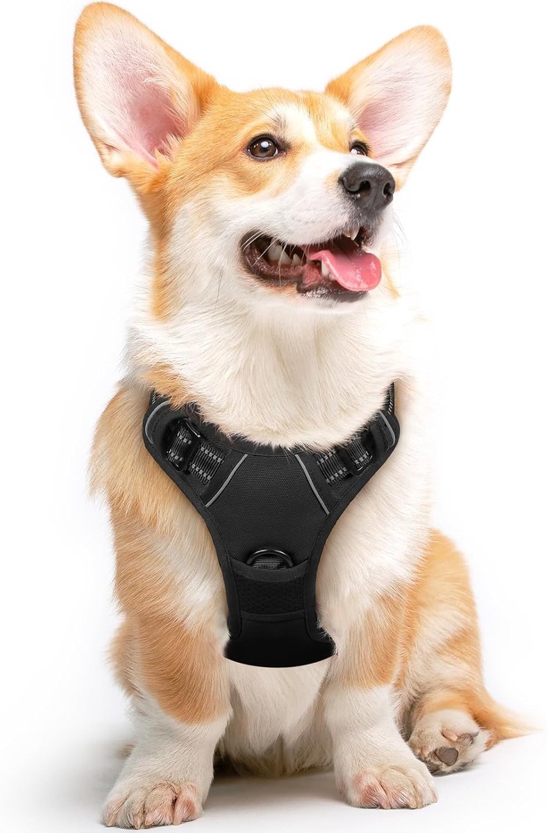 Hondentuig No Pull, Hondenharnas voor Middelgrote Honden, Verstelbare Harnas Hond met Reflecterend Strepen, Gewatteerd Zacht Ademend, Hondentuigje Anti-trek voor Wandelen Training, Zwart M