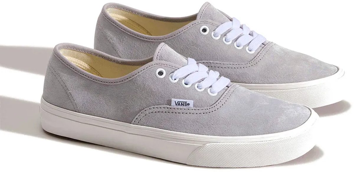 Vans Authentic Schoenen Grijs
