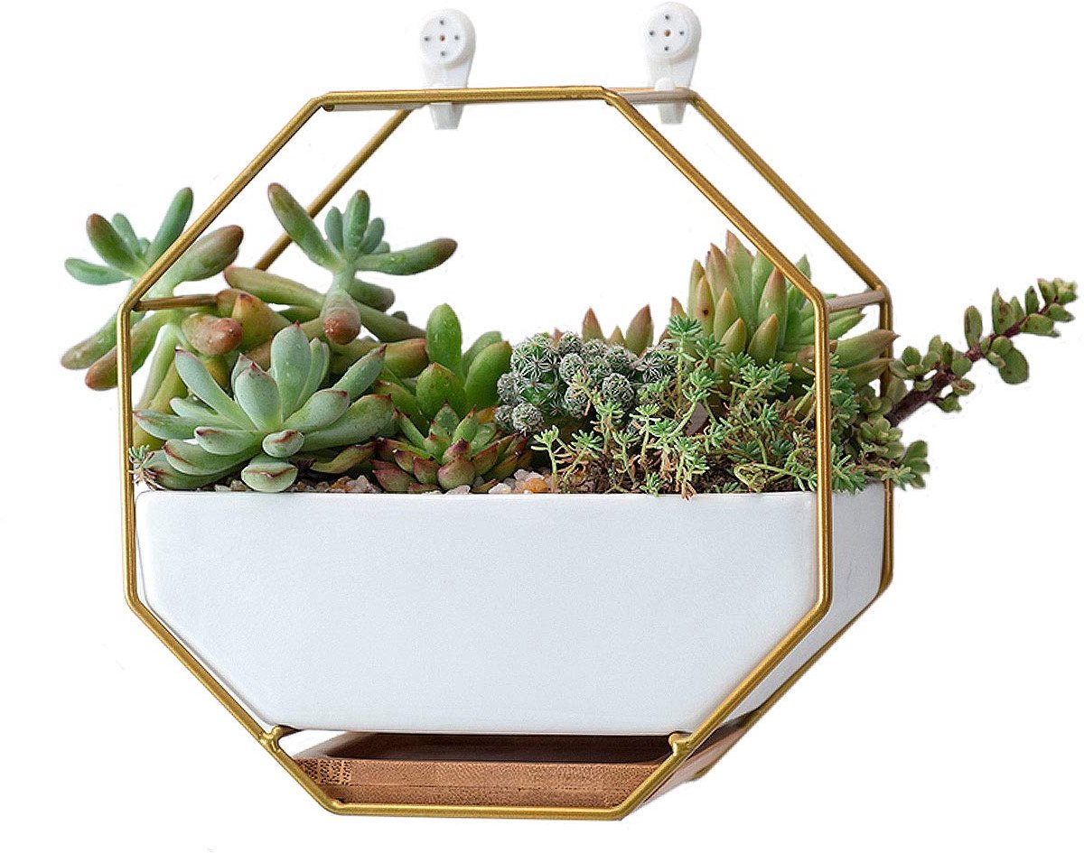 SnelShoppen - 7 inch witte keramische muur plantenbakken vaas met koper, drainagegat en bamboe lade - geometrische zeshoek wanddecoratie voor vetplant