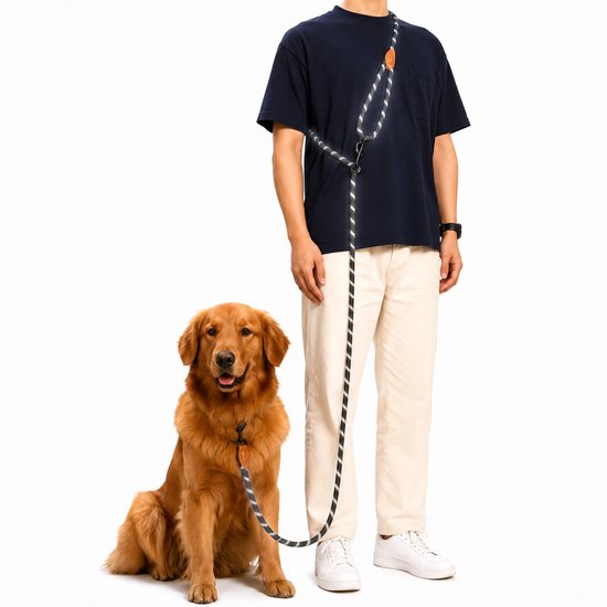 Homme en t-shirt bleu foncé et pantalon beige, golden retriever assis, en laisse noire avec fil réfléchissant.