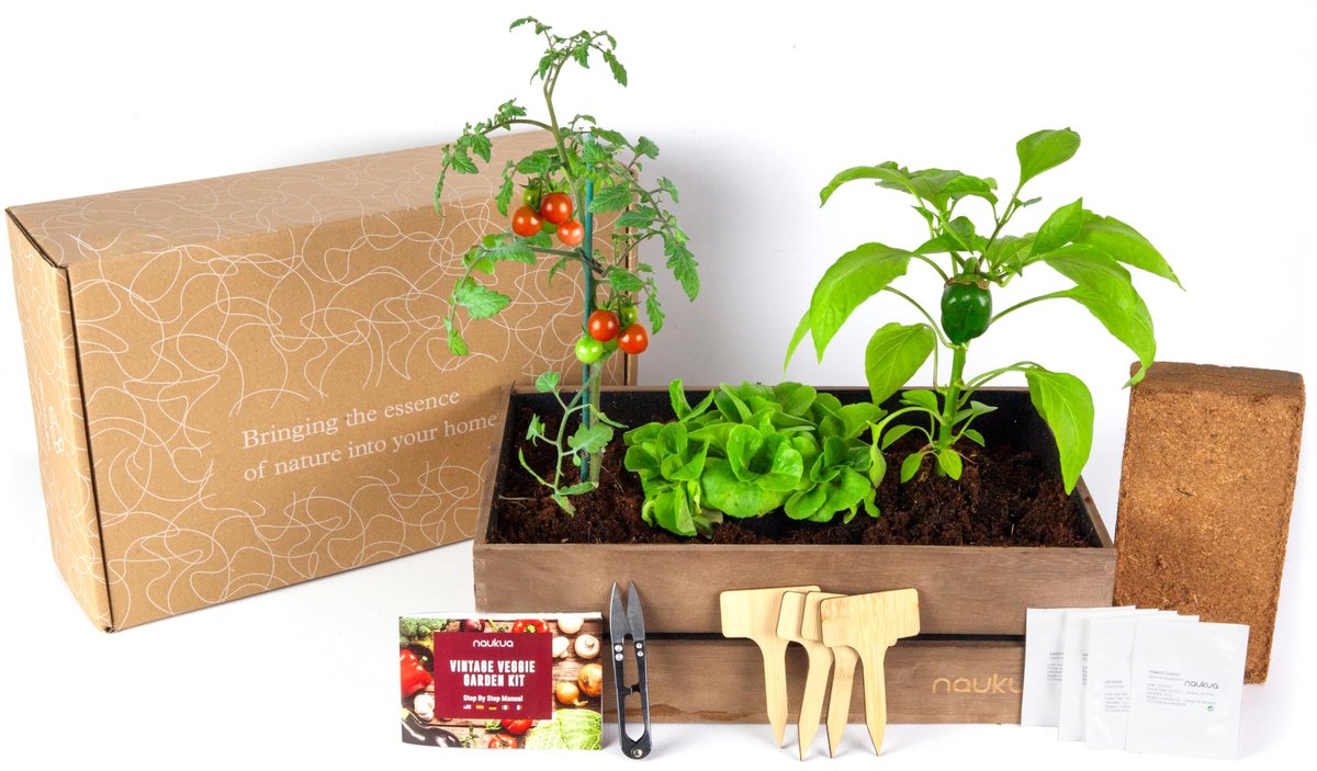 SnelShoppen - Mini Urban Vintage Moestuin - Biologische Zaden voor Sla, Radijs, Groene Paprika's en Cherry Tomaten - Complete Kweekset voor Tuin en Ke