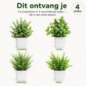 Vier verschillende kunstplanten in witte potten: Eucalyptus, Laurier, Rozemarijn en Buxus. Getoond met hun namen.