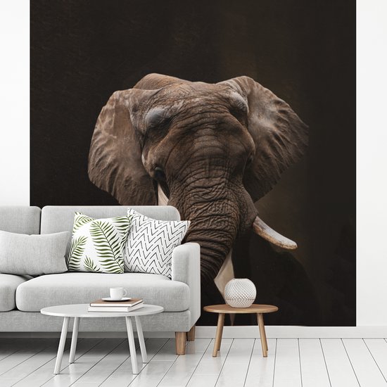 Fond d' écran - mur Portrait Papier peint photo - Elephant - Art - Largeur 260 cm x Hauteur 260 cm