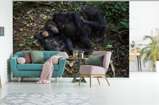 Papier peint photo peint photo vinyle - Famille Chimpanzé endormi largeur 390 cm x hauteur 260 cm - Tirage photo sur papier peint (disponible en 7 tailles)