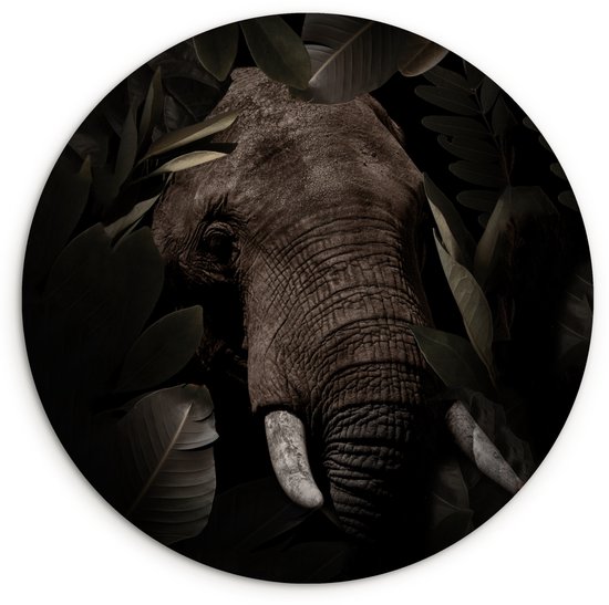 Een ronde muurcirkel met een close-up van de kop van een olifant, omringd door donkere bladeren.