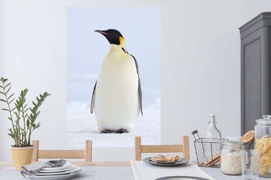 Sticker Muursticker Pingouins - Tirage photo Manchot empereur - 80x120 cm - Feuille adhésive autocollante - Sticker mural repositionnable
