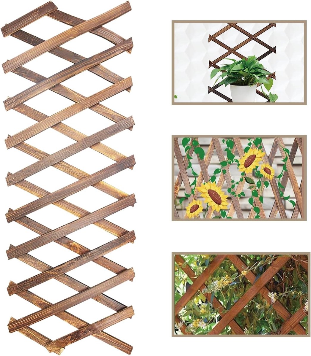 Uitbreidbaar Hekwerk voor Planten - Gecarboniseerd Hout - 1 x 1 x 1 cm - Duurzaam en Milieuvriendelijk - Voor Tuinen en Balkons