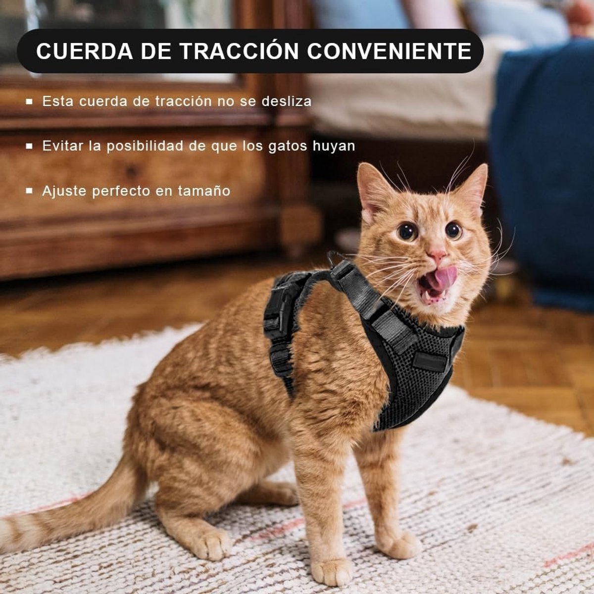 Kattenharnas - Zwart - XS - Verstelbaar Veiligheidsharnas met Riem van 150 cm - Voor Kleine Katten
