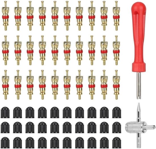 Gereedschapskit Ventielkernen - Bandenreparatieset Fiets - Onderhoud Banden - 62-delige Set - 70 g - Zwart — afbeelding 2
