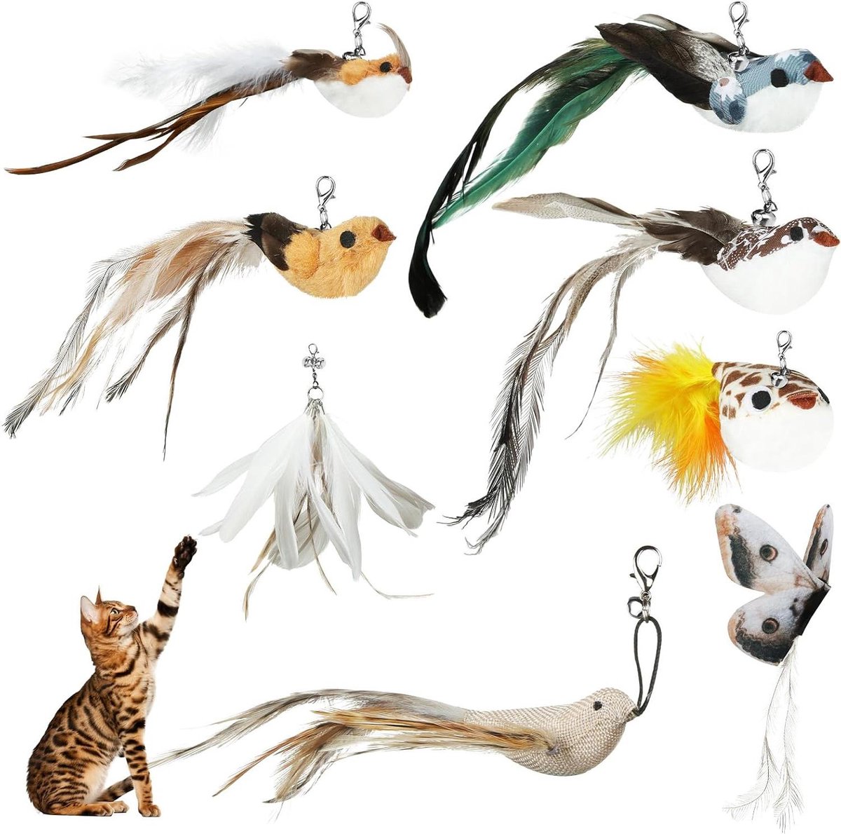 Kattenspeelgoed set - Veren speeltjes - Interactieve training - Realistisch ontwerp - 8 stuks - Vogelserie