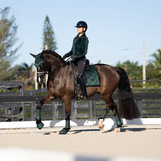 Vrouw rijdt op een bruin paard in een dressuurring, draagt een donkergroene outfit, inclusief zadeldek, oornetje en beenbeschermers.