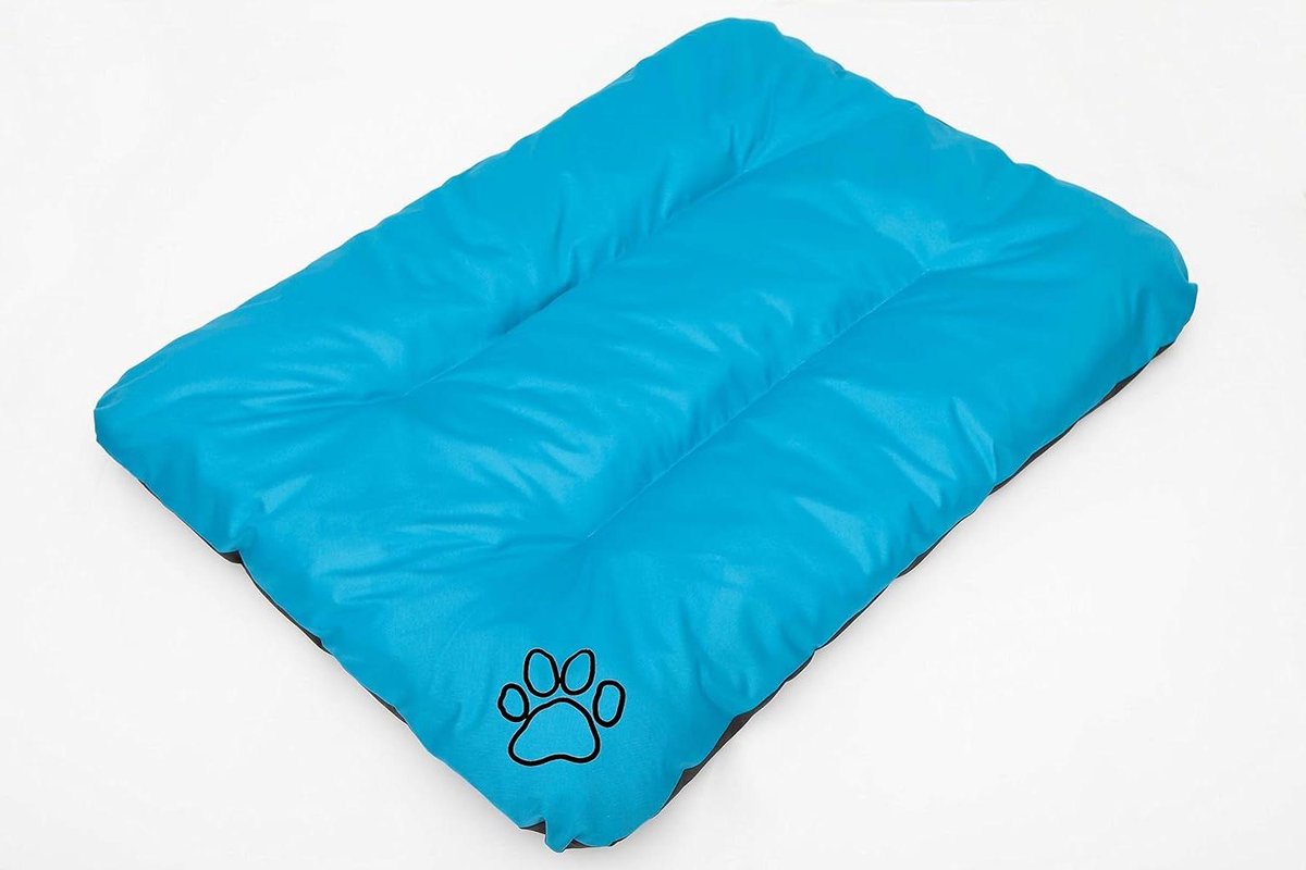 Hondenmatras Huisdierbed - Kussen Sofa - Rustplek Huisdieren - Oeko-Tex Gecertificeerd - 60 x 90 cm - Blauw
