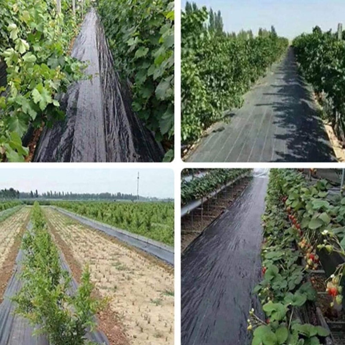 Onkruidbarrière Bodembedekker - Landschapsstof Weedmat - Tuin Onderhoud - Waterdoorlatend Ontwerp - 10 x 33 ft - Zwart