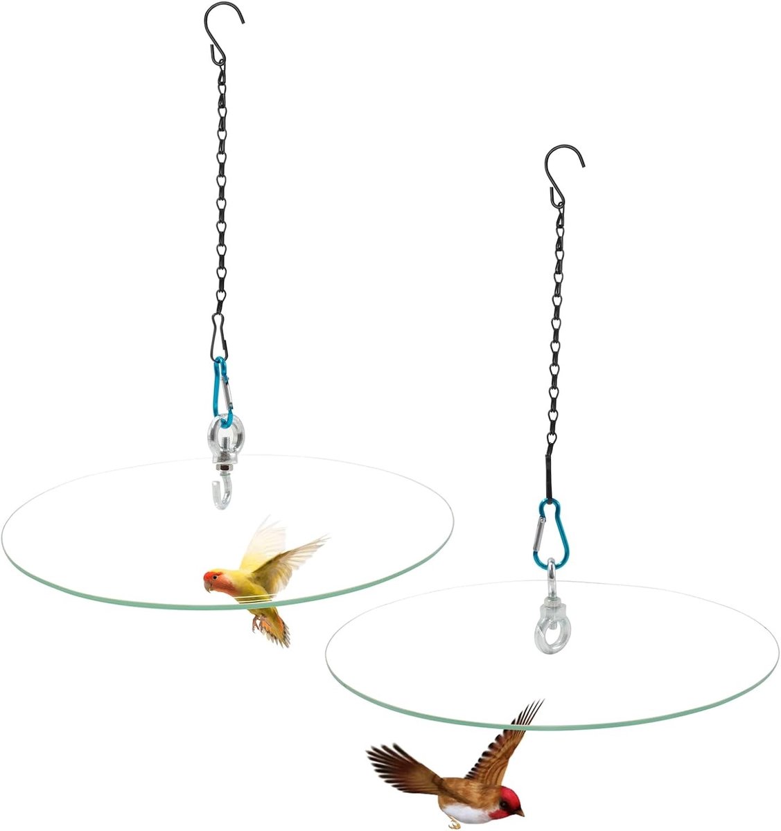 Set van 2 Vogelvoederstations met Glazen Beschermdome van 28,5 cm - Transparante Regenbescherming en Hangende Vogelhuis Bescherming met Kettingen