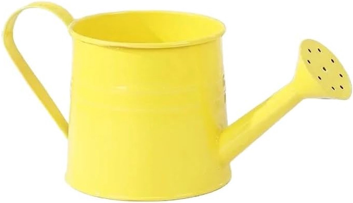 Metalen Gieter - Kleine Waterkan - Planten Water Geven - Met Sprinkler - 1 Liter - Zilver