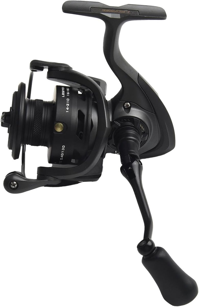 Vismolen - Spinner Reel - Zoetwater Vissen - Gapless Ontwerp - EX5000 - Zwart