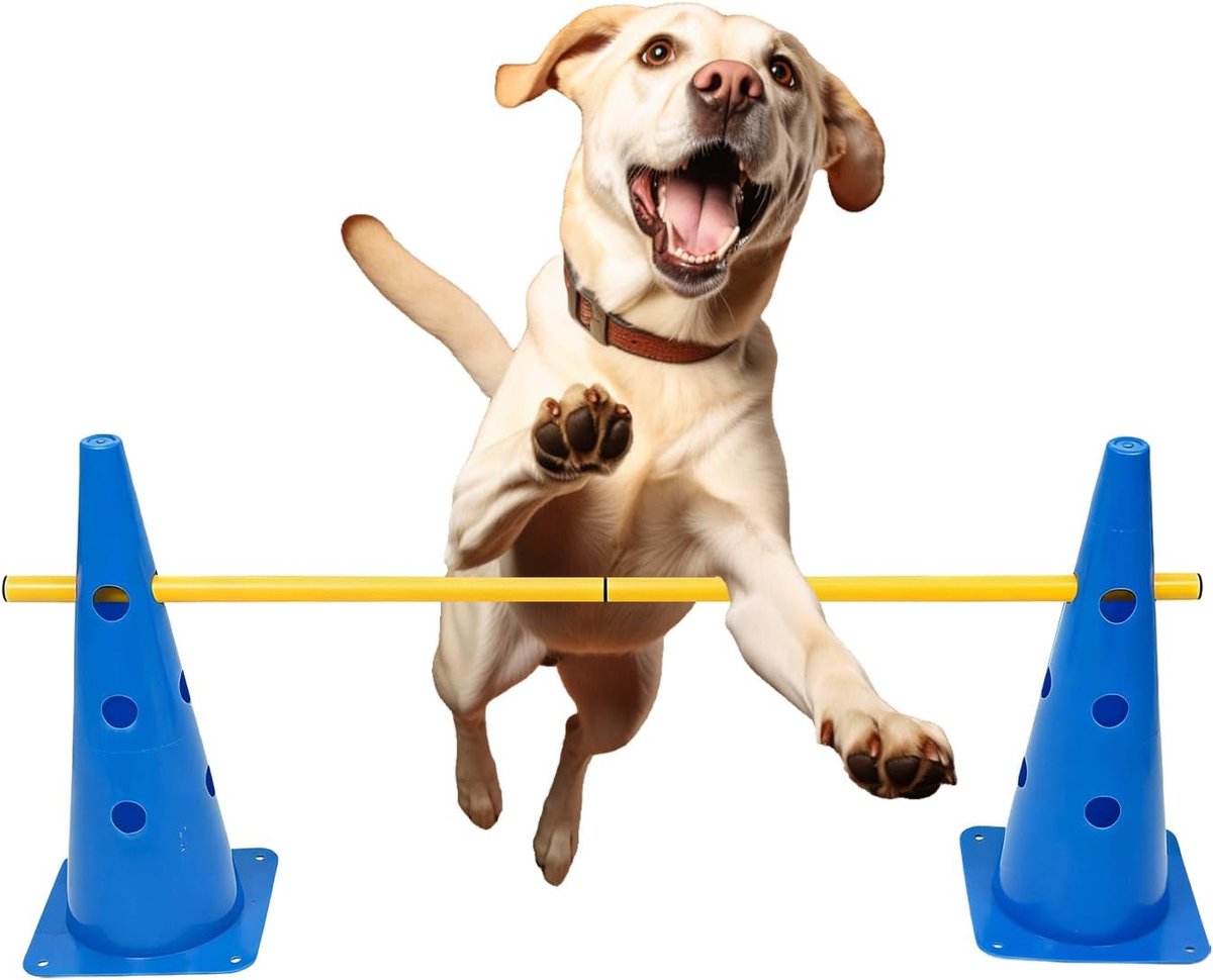 Honden Hindernisbaan - Agility Set Honden - Honden Training - In Hoogte Verstelbaar - 55 x 25 x 25 cm