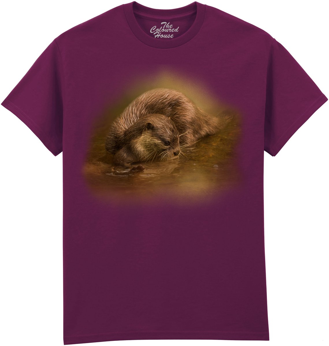 Otter Curiosity The Coloured House T-shirt S