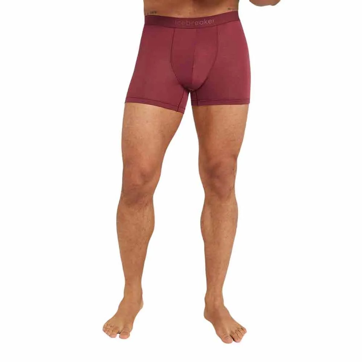 Icebreaker Merino 150 Anatomica Boxers Rood,Paars L Man