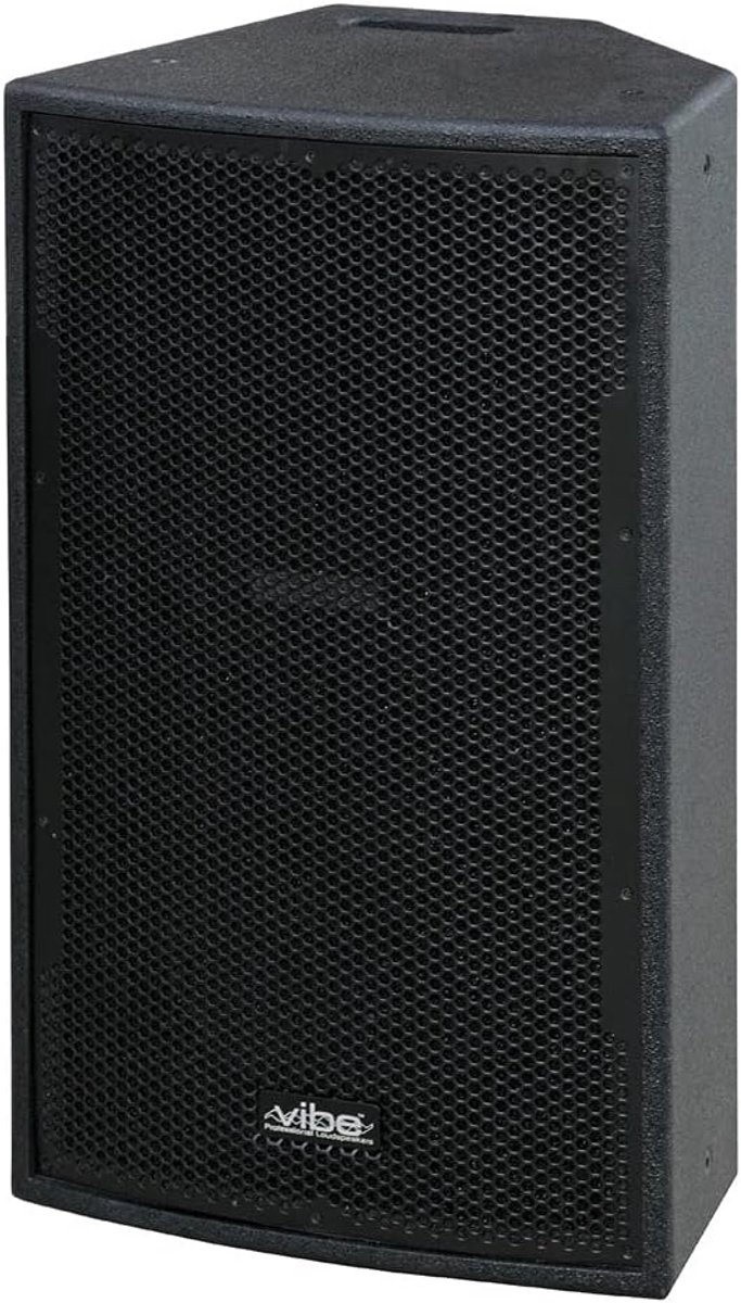 PA speaker 12 inch - 250 Wrms vermogen - 122 dB geluidsdruk - ideaal voor evenementen - SnelShoppen