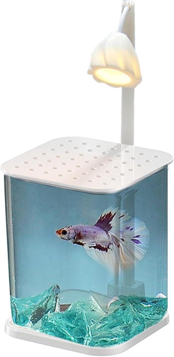Glazen Vissenkom - Aquarium voor Vissen - Kleine Waterdieren Houden - Met LED Nachtlampje - 10x15x24.5 cm - Transparant